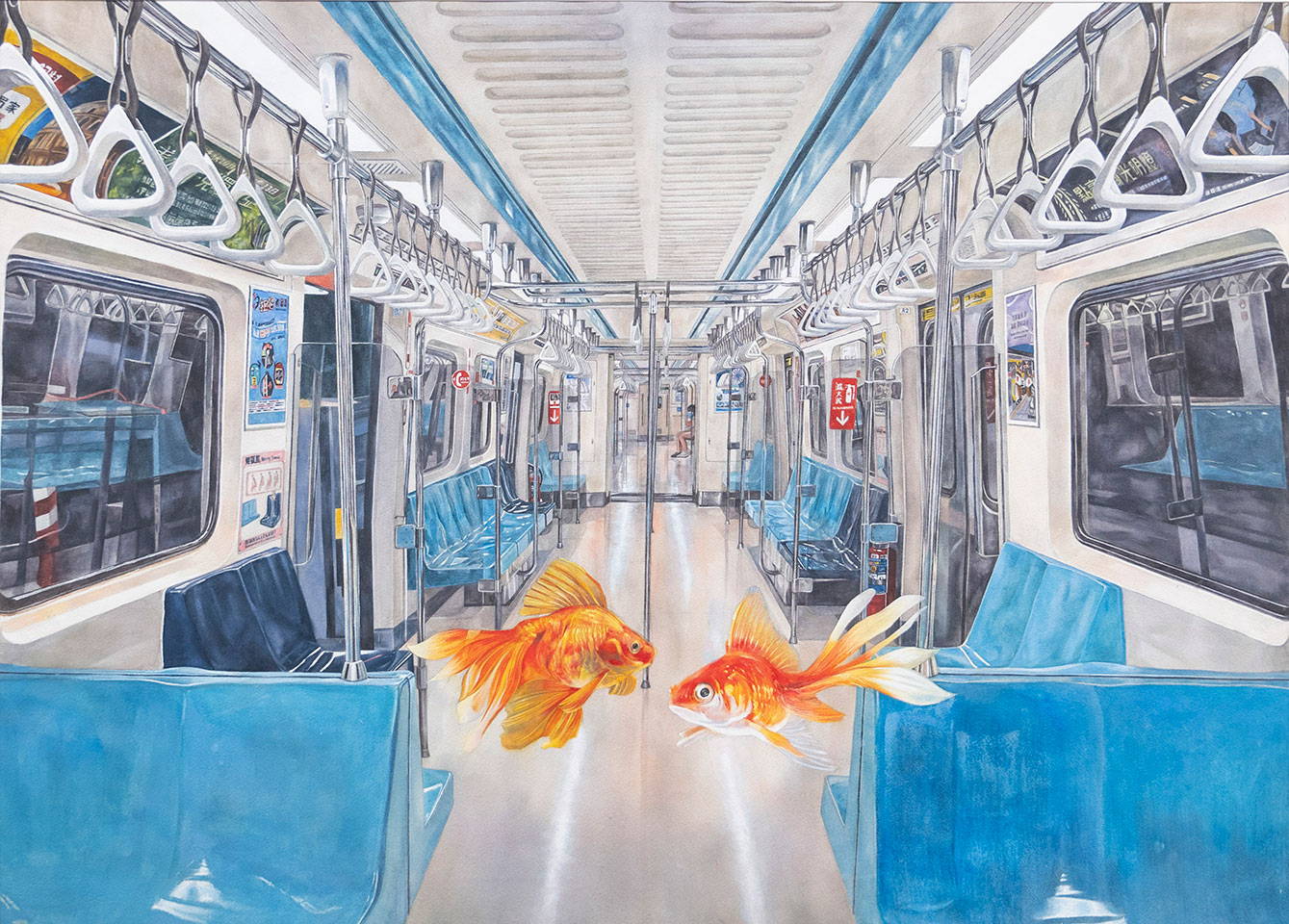 城中魚