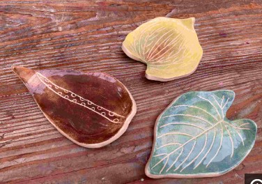 土半夏‧觀葉植物陶碟