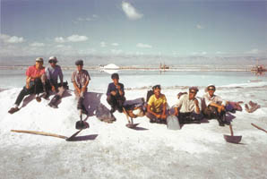 茶卡鹽湖鹽工