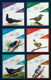 鳥類月曆設計