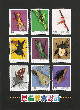 昆蟲郵票設計