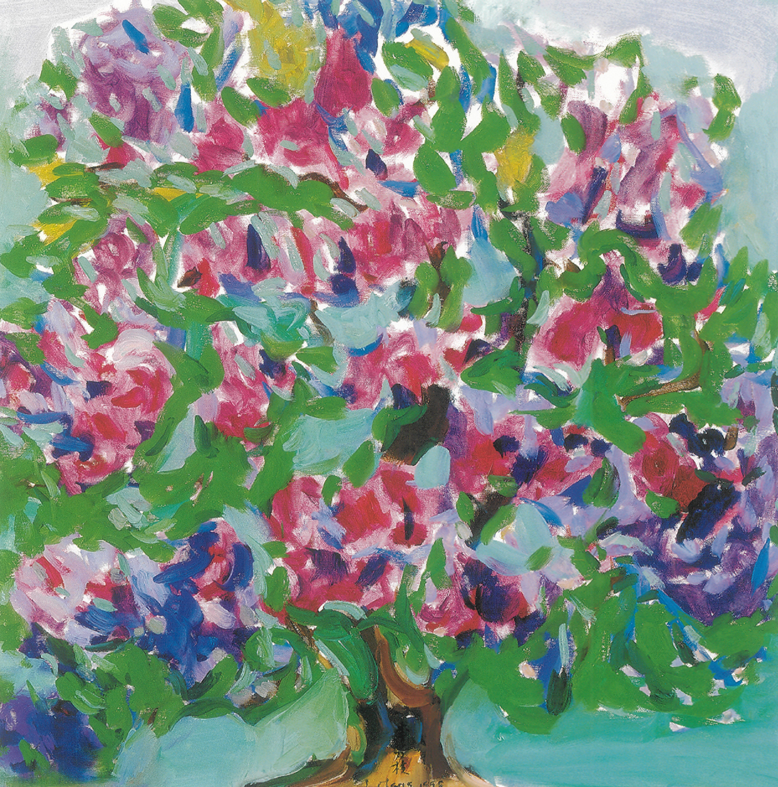紫晶石楠花樹